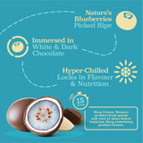 trufru chocolate coated blueberries frozen, imported from the UK