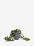 Artificial trailing plant Green Scandi Small 61cm, UK version