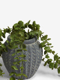 Artificial trailing plant Green Scandi Small 61cm, UK version