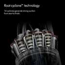 Dyson Ball Animal corded bagless upright pet vacuum cleaner - British product