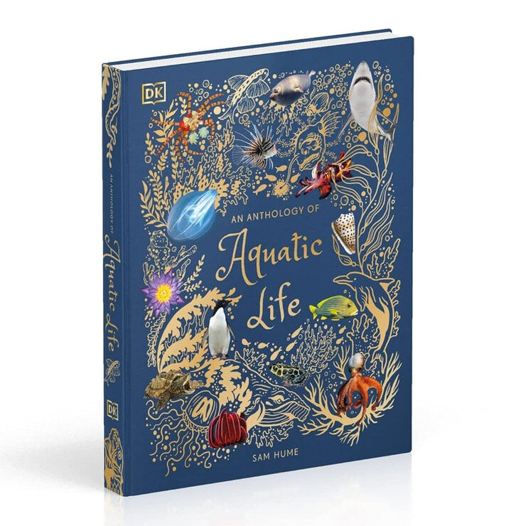 Illustrated children's anthology hardback book (British brand)