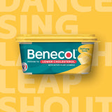 Benecol Buttery Spread Plant Stanol 500g - British product