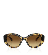 Harrods Swarovski Oval SK6005 Sunglasses- Buy online at McGrocer