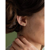 Revere 9ct yellow gold teddy stud earrings - British product