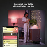 Philips Hue Smart Plug 2 Pack, UK version