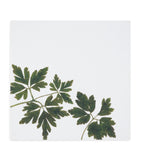 Summerill & Bishop gastronomic herb garden linen napkins 50cm x 50cm (British brand)
