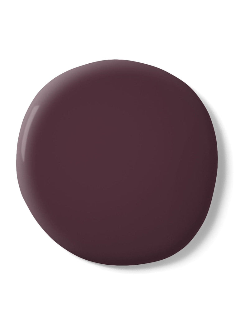 Graham & Brown Epoch Purple matt emulsion paint (British brand)