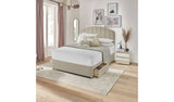 Argos Silentnight Double 2 Drawer Divan Bed Base Sandstone- Buy online at McGrocer