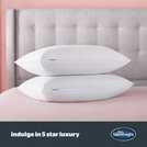 Silentnight Hotel Collection Firm Pillow 2 Pack (British brand)