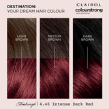 Clairol Colour Strong permanent hair dye Intense Dark Red 4.46 - British product