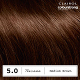 Clairol Colour Strong permanent hair dye Medium Brown 5.0 (British brand)
