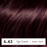 Clairol permanent hair dye Sunset Mauve - British product