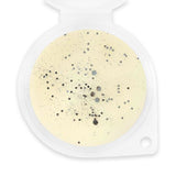 Sassy Scents White Linen wax melt 50g (British brand)