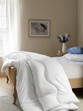 Sleep In Comfort 10.5 Tog duvet (British brand)
