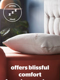 Silentnight Copper White pillow (British brand)