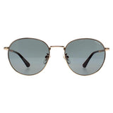 Police Roadie 4 gold men's sunglasses, UK version