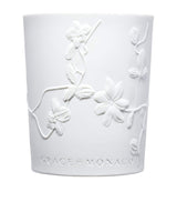 Harrods Large Scented Candle with Ceramic Holder, Danse Étoilée Fragrance, 600g- Buy online at McGrocer