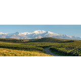 Zuccardi Poligonos Malbec red wine 75cl bottle (British brand)