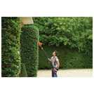 Black+Decker 51cm corded pole hedge trimmer - British product