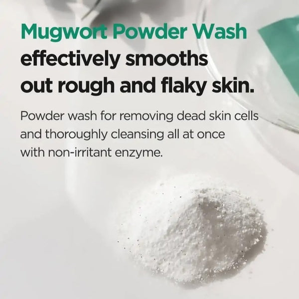 Isntree Mugwort Calming Powder Wash Cleanser 15g, UK version