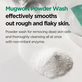 Isntree Mugwort Calming Powder Wash Cleanser 15g, UK version