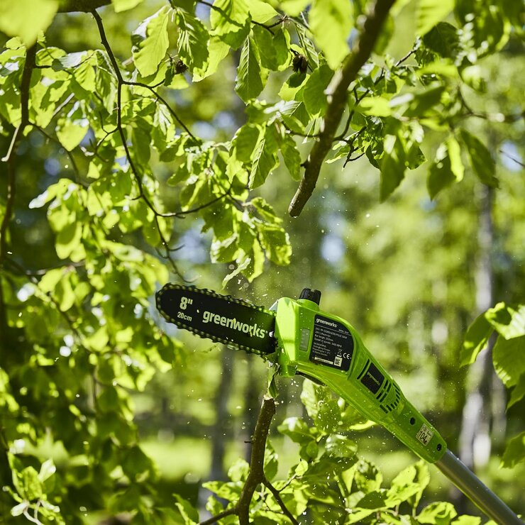 Greenworks 24V pole saw 20cm, imported from the UK