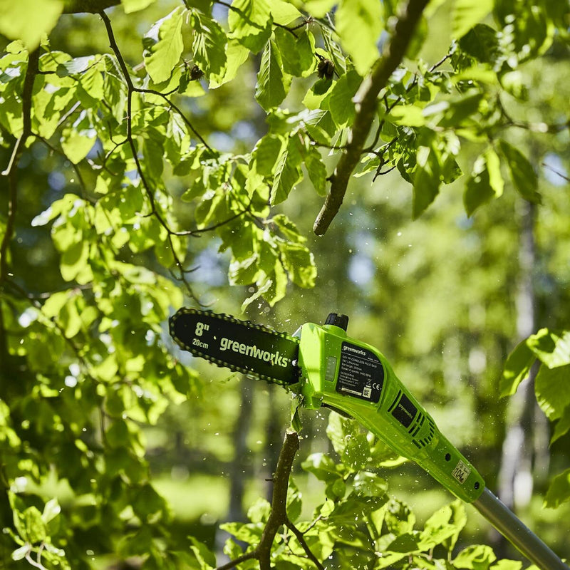 Greenworks 24V pole saw 20cm, imported from the UK