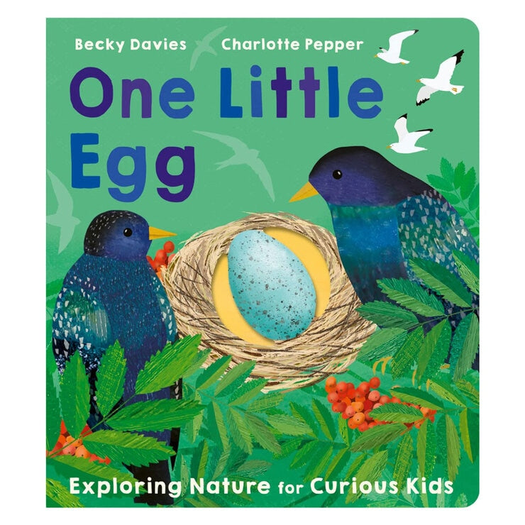 One Little Board Book by Becky Davies and Jacob Souva (British brand)
