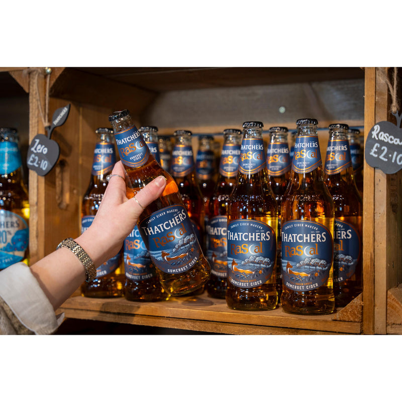 Thatchers Rascal cider 500ml, UK version
