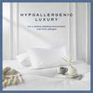Snuggledown medium pillow 2 pack (British brand)