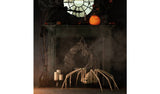 Argos Argos Home Large Foldable Spider Halloween Decoration- Buy online at McGrocer