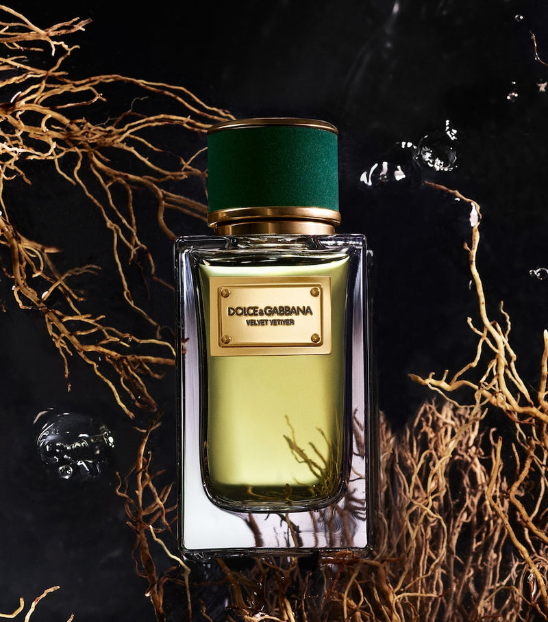 Dolce&Gabbana Velvet Vetiver Eau de Parfum 100ml, UK version
