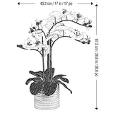 CG Hunter أوركيد اصطناعي في وعاء سيراميك مضلع 67.5 سم، إصدار المملكة المتحدة