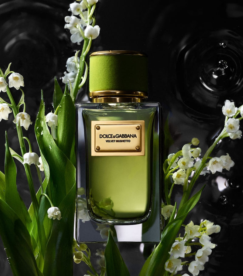 Dolce&Gabbana Velvet Mughetto eau de parfum 100ml, imported from the UK