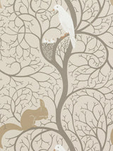 John Lewis Sanderson Squirrel & Dove Spongeable Wallpaper- Buy online at McGrocer