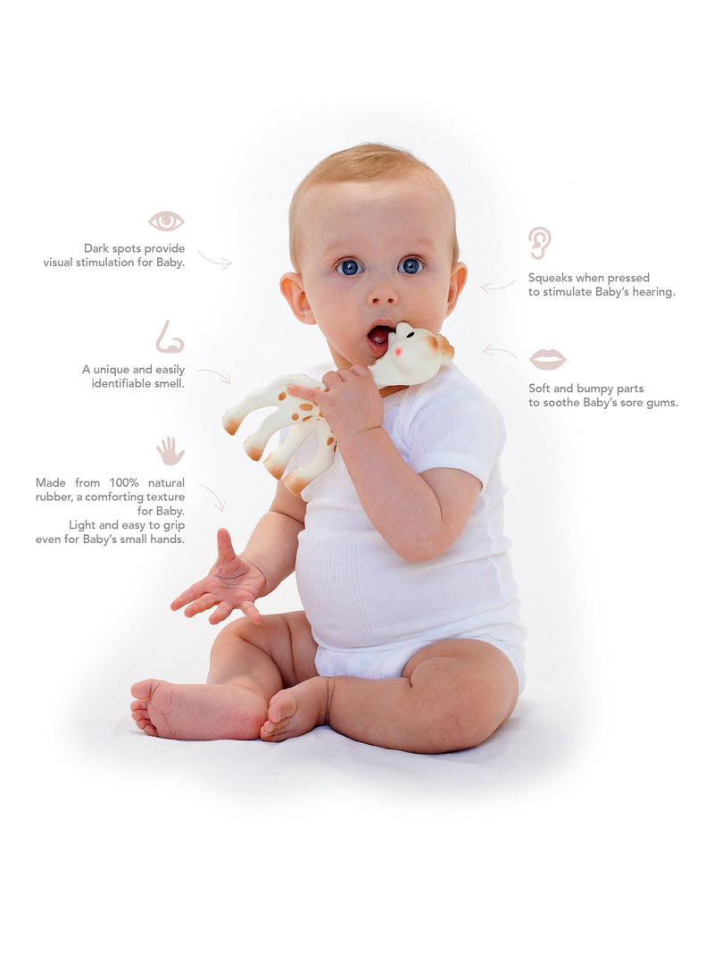 Sophie la girafe teether 17cm in gift box - British product