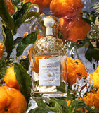 Guerlain Mandarine Basilic Eau de Toilette 75ml, imported from the UK