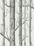 Cole & Son Woods Wallpaper L10m x W52cm