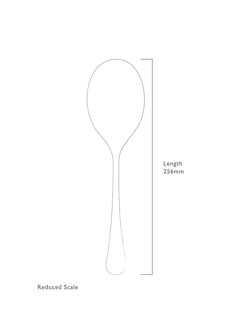 Robert Welch Radford serving spoon 25.7cm (British brand)