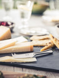 Robert Welch Radford small cheese knife (British brand)