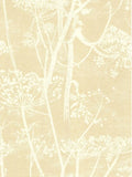 Cole & Son Cowparsley Wallpaper 10m x 53cm