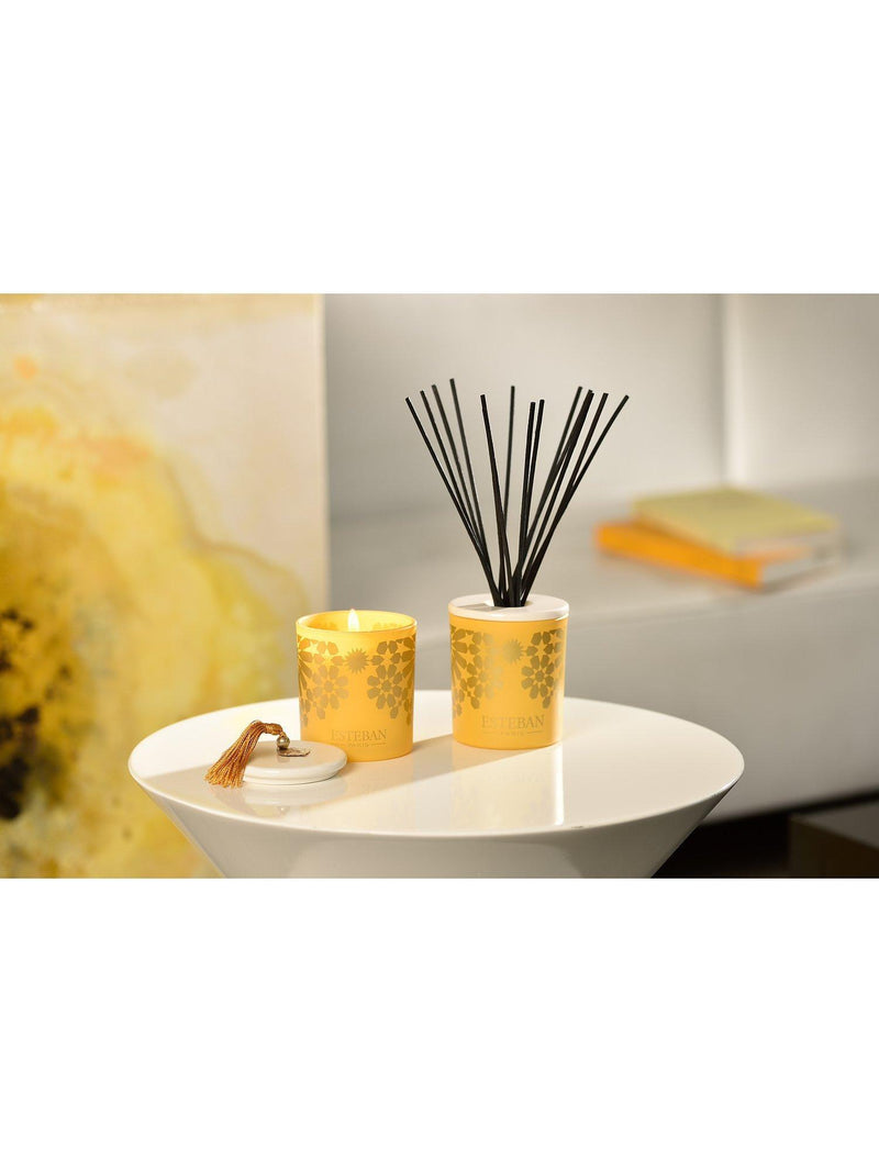Esteban Ambre scented candle 180g - British product