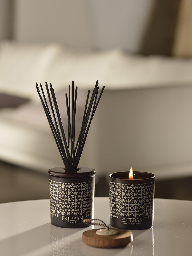 Esteban Teck & Tonka reed diffuser 100ml - British product