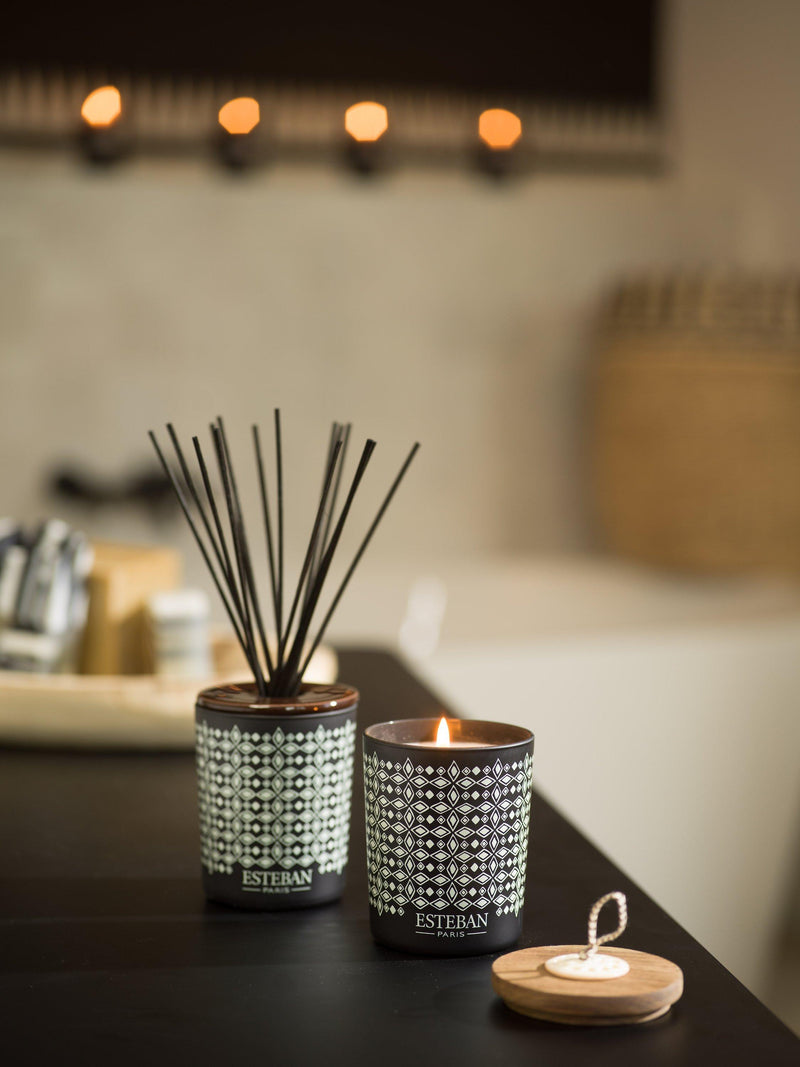 Esteban Teck & Tonka reed diffuser 100ml - British product