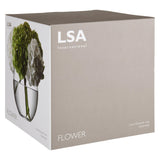 LSA International Globe Vase Clear H22cm, UK version