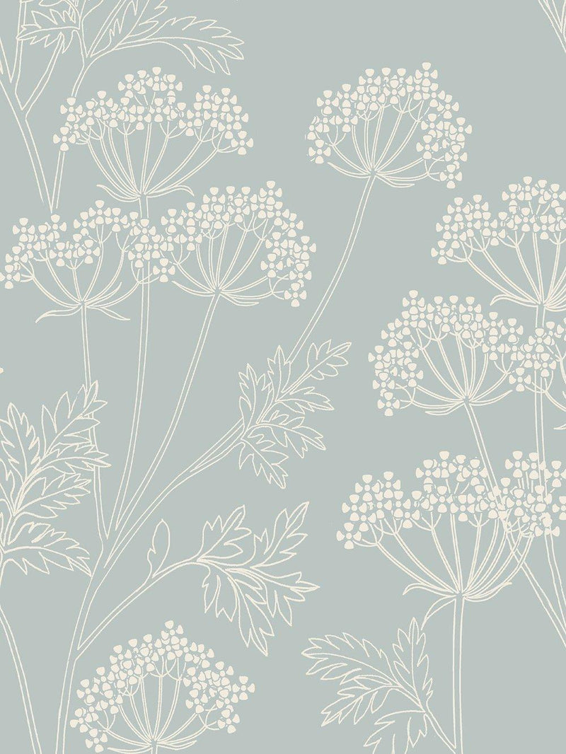 John Lewis cow parsley wallpaper with line drawn design, UK version