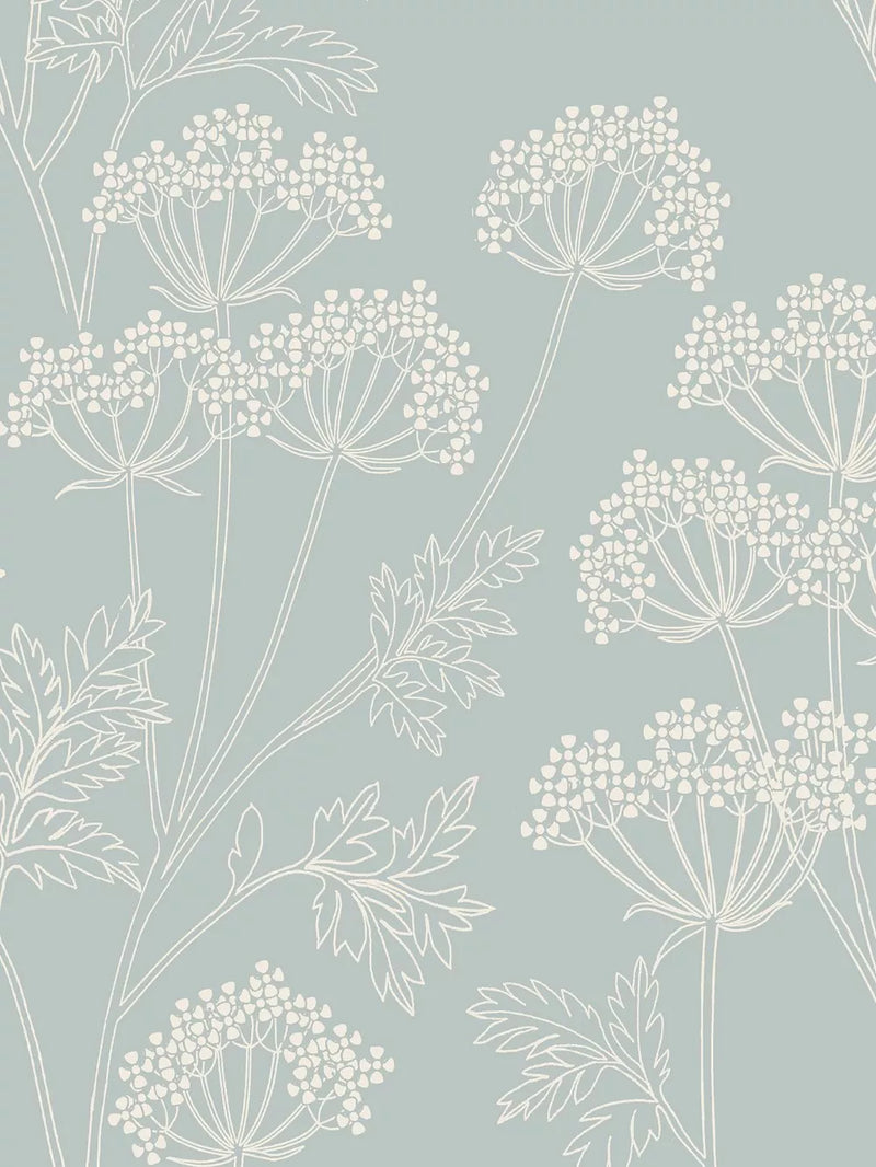 John Lewis cow parsley wallpaper with line drawn design, UK version