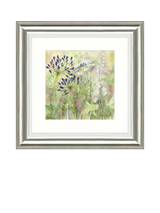 John Lewis John Lewis Catherine Stephenson 'Agapanthus Grasses I' Framed Print, 50 x 50cm- Buy online at McGrocer