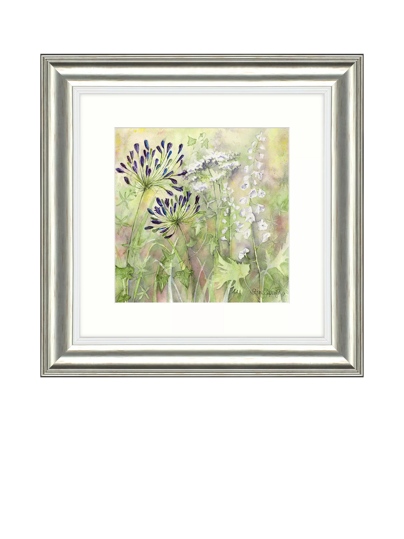 John Lewis framed print Agapanthus Grasses 50x50cm (British brand)