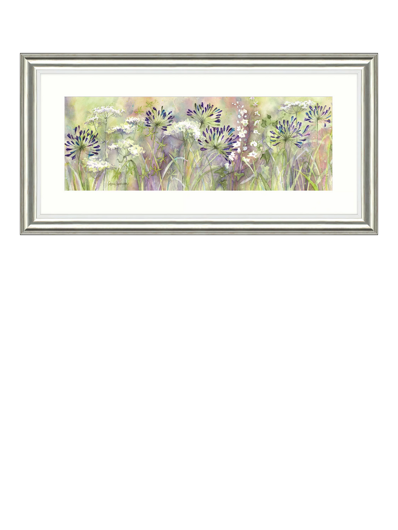 John Lewis framed print Agapanthus Grasses 55x110cm, imported from the UK